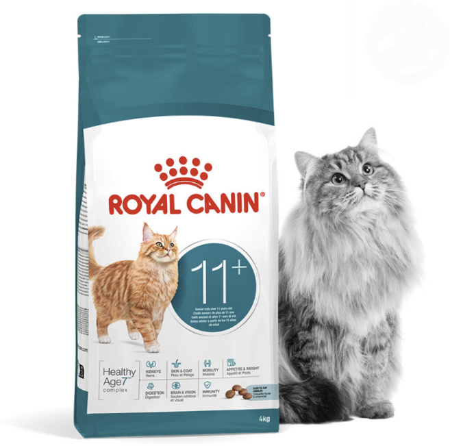 로얄캐닌 캣 에이징 12+ 2kg 고양이 사료 노령묘