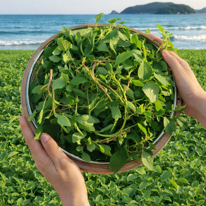 국산 여수 금오도 봄향기톡톡 방풍나물, 1개, 2kg