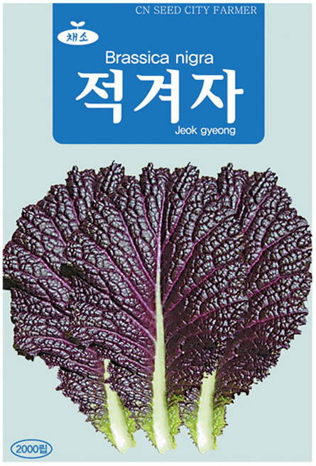 적겨자 씨앗 겨자씨 2000립, 2개