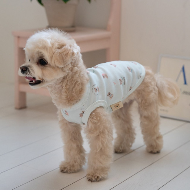 베일리펫 강아지옷 애견의류 테디 항균 슬리브리스 나시, 1개, 민트