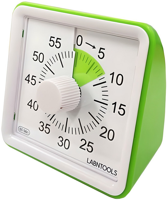 랩앤툴스 구글타이머 무음모델, 1개, 그린계열