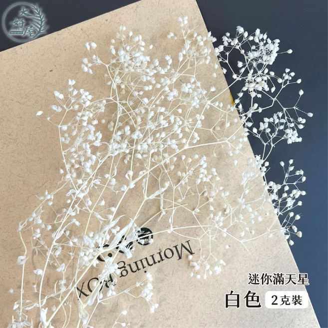 大好屋 迷你滿天星 永生花乾燥花材 DIY手作拍攝道具, 迷你滿天星, 白色
