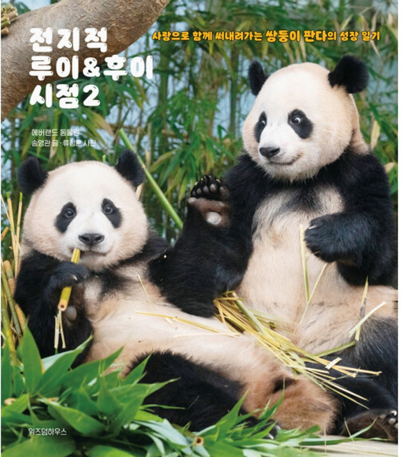 전지적 루이&후이 시점 2 에버랜드 동물원그림 위즈덤하우스 (사은품증정) - 사랑으로 함께 써내려가는 쌍둥이 판다의 성장 일기