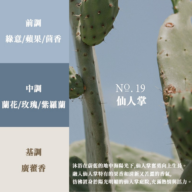 台灣24H出貨【韓國製】生日禮物 聖誕節禮物, 1個, Hetras藝術擴香瓶【仙人掌】,單入組【無禮盒包裝】