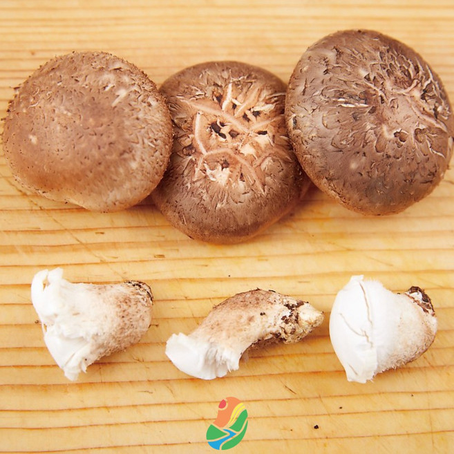 [아리파머스] 줄기 제거로 더 간편한 프리미엄 표고버섯 2L (중국산), 1박스, 2kg