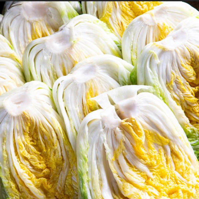 강원도 고랭지 절임배추 20kg