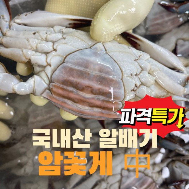 [시흥월곶맛집] 국내산 수제 간장게장(살수율100% 알배기 봄 암꽃게) 중 크기 / 2미 [원산지:국산(인천광역시 옹진군)], 2개, 1kg