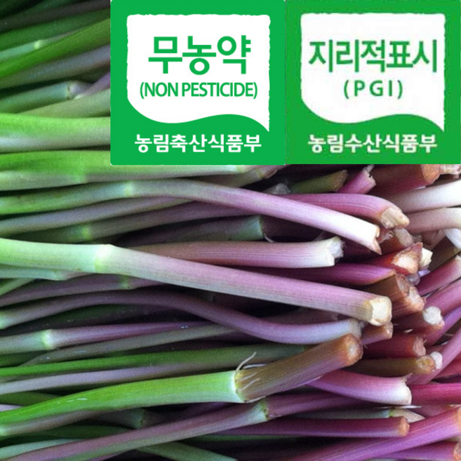 [최상품단골보장] 유명농장직송 아침수확발송 농약안심 한재미나리, 1박스, 2kg