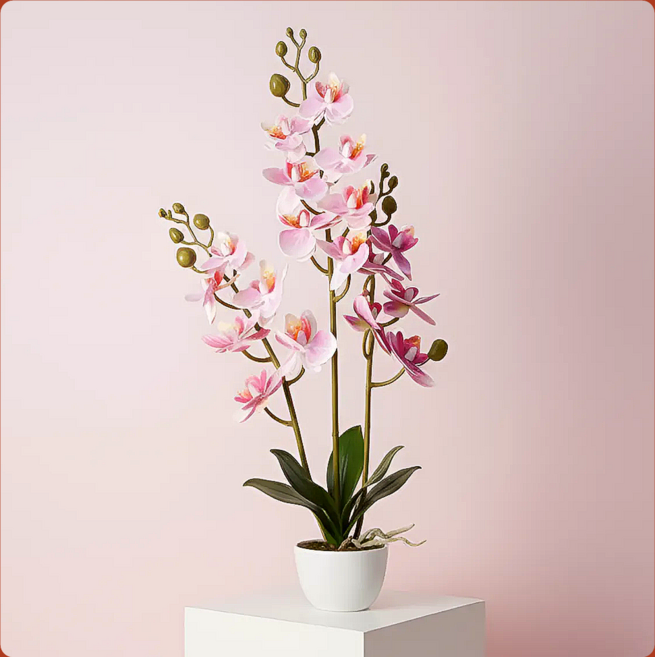 랑마르쉐 핑크 쌍대 호접란 조화, 연핑크, 1개