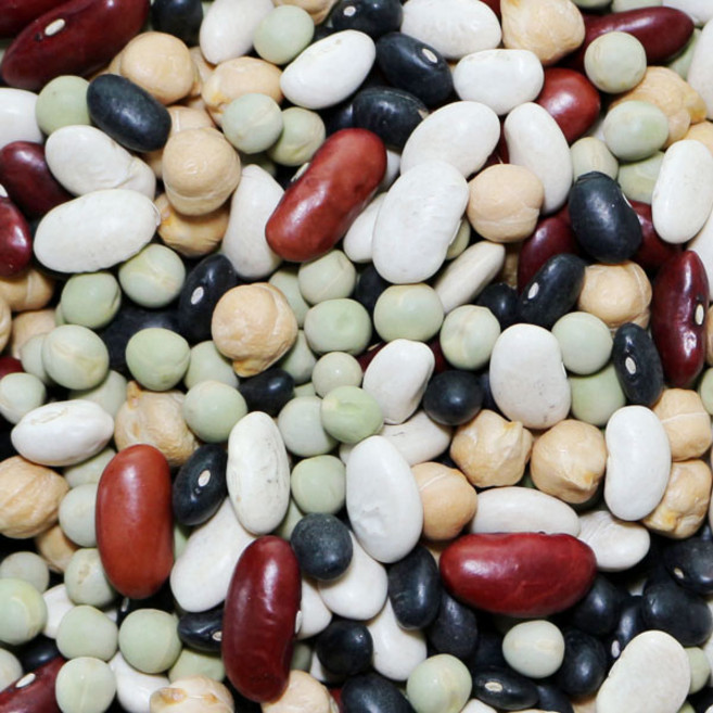 알콩달콩 오색콩, 500g, 4개