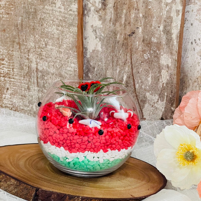수박 테라리움 만들기 diy 키트(소-지름10cm) 여름방학 수업재료, 1개