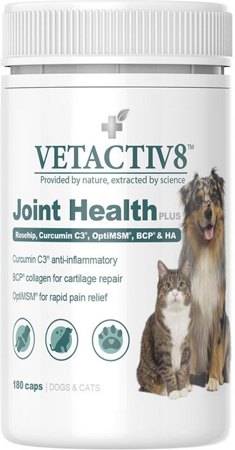 벳엑티브8 조인트헬스플러스 캡슐형 관절영양제, 180캡슐