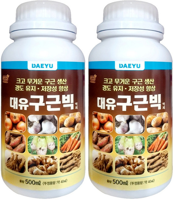 대유 구근빅 500ml 복수건, 2개