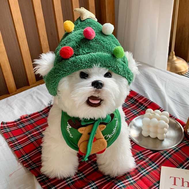 걸스코코 강아지 크리스마스 케이프 방한모자 반려동물 외출복 고양이스카프 코스튬, 트리모자+루돌프스카프(그린), 1개