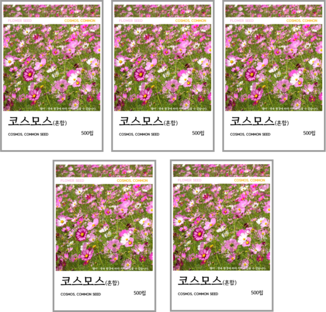 새싹바라기 코스모스(혼합) 씨앗 500립, 5개