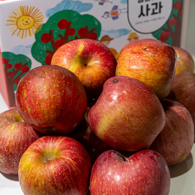 건강을 담은 장군이네 경북 청송 가정용 선물용 꿀사과 흠과, 1개, 가정용 혼합 5kg