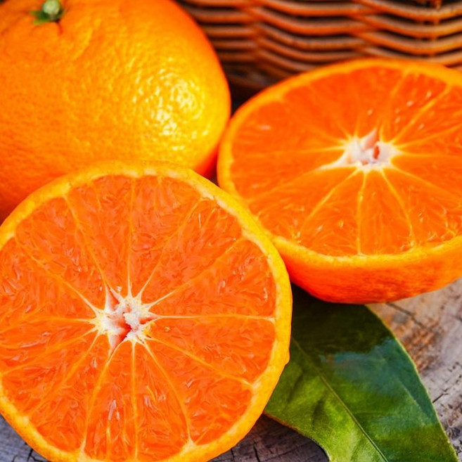 제주서귀포농장 산지직송 카라향 감귤 3kg 가정용 당도보장 달콤한 제주과일, 카라향 소과 / 20-30과 내외, 1개