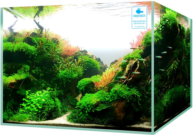 모비딕 유리 어항, 1개