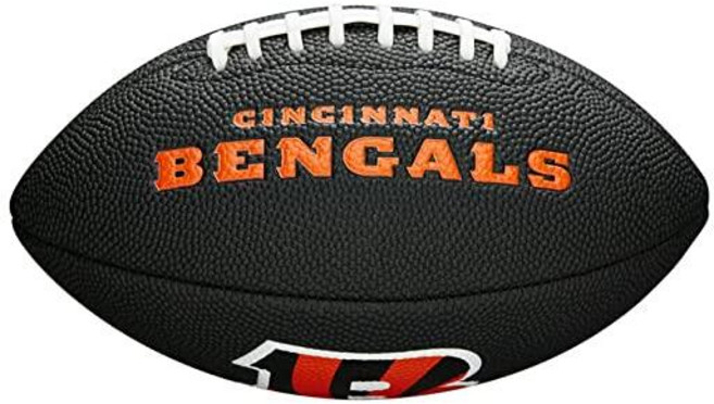 윌슨 WILSON 온 SPORT 스포츠ing Goods NFL 볼티모어 레이븐스 팀 로고 미식축구공 블랙 미니 사이즈 289787
