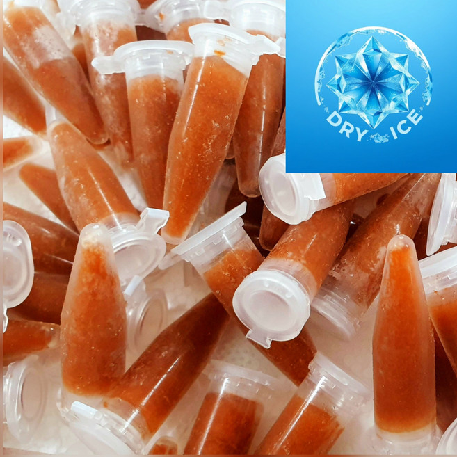 가우스 브라인쉬림프 튜브 45개 (냉동포장비 무료 열대어 구피먹이 특허등록 아스타잔틴브라인슈림프 ), 1개