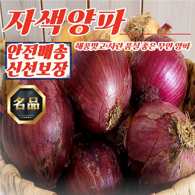 전남 무안 황토골 자색양파 중대혼합 5kg, 1개, 상세페이지 참조