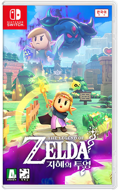 닌텐도 스위치 젤다의 전설 지혜의 투영
