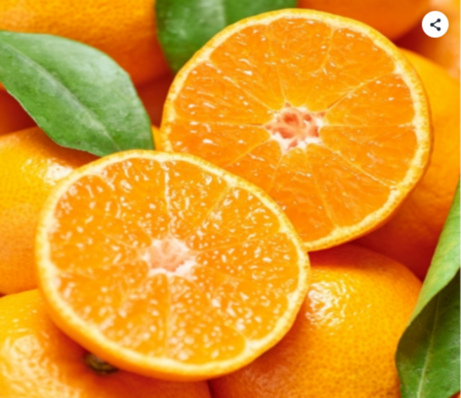 [하루딱30박스당일수확] 최고17brix 고당도선별 제주 천혜향, 1개, 2kg