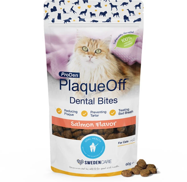 프로덴 플라그오프 덴탈바이트 캣, 60g, 1개 - 쿠팡