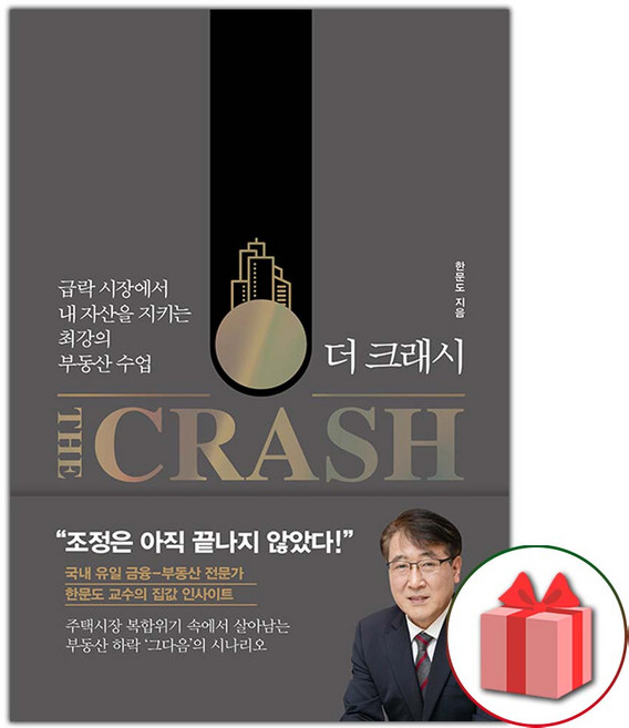 더 크래시 The Crash 도서 책