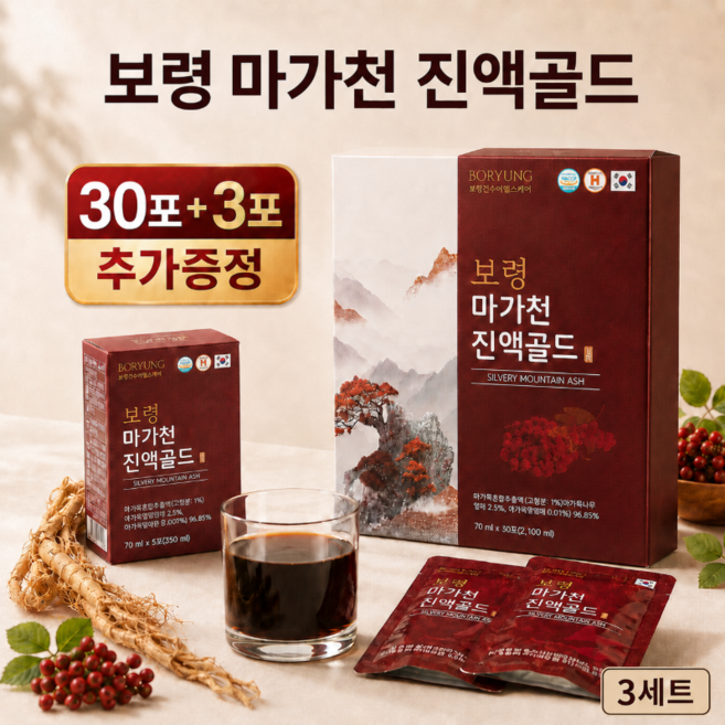 보령 마가천 진액골드 2310ml 마가목진액 기관지 폐 체력 활력 상황버섯 황칠나무 구기자 작약, 99개, 70ml