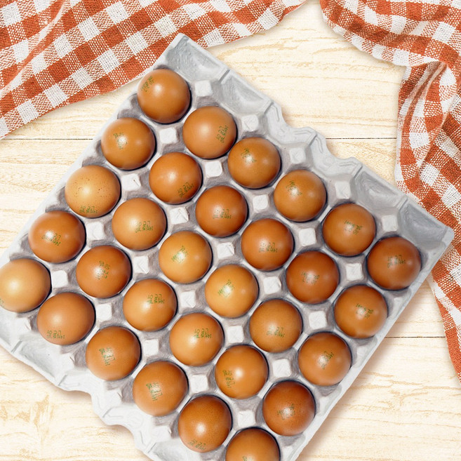 큰손 파인알구이, 1.2kg, 1L, 5개, 03_훈제계란30구 5판