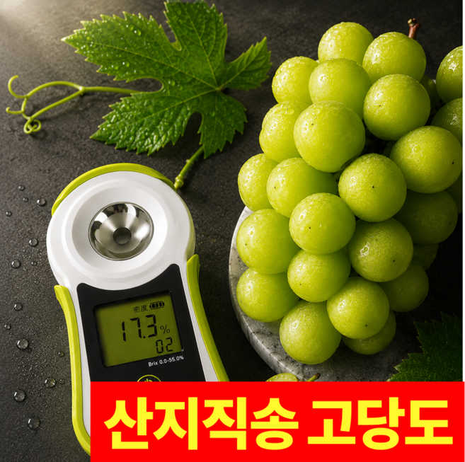 [초특가] 국내산 제철청포도 고당도 샤인머스켓, 1박스, 2kg