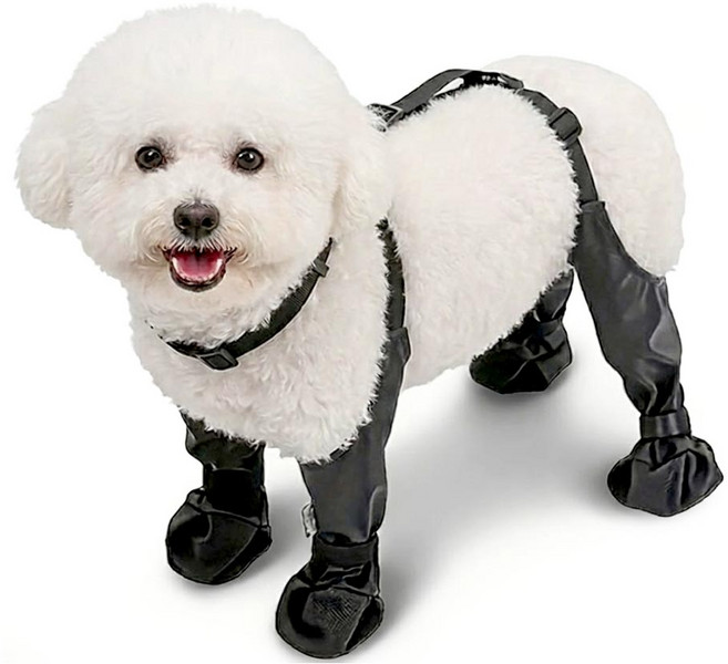 견행묘행 강아지 레깅스 신발 올인원 레인부츠, 1개, 블랙