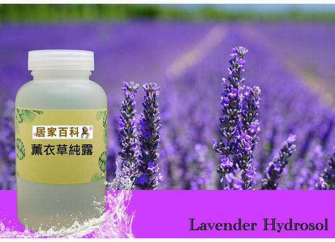 居家百科 薰衣草純露, 100ml, 1個