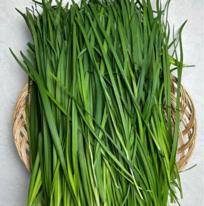 [굿피플] 국내산 신선한 부추 손질부추 국산부추, 1개, 4kg