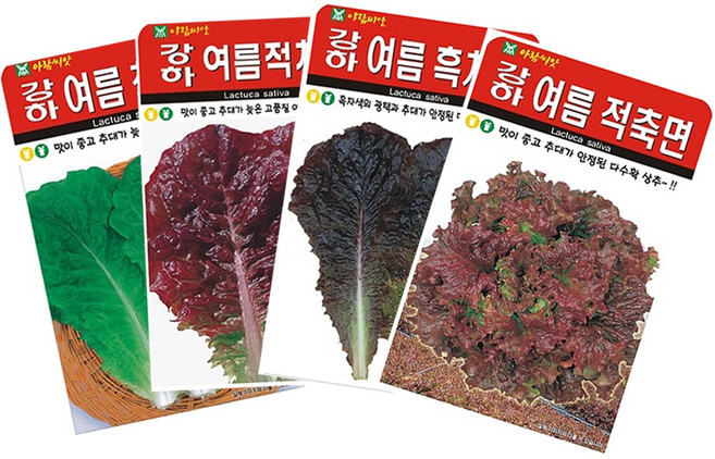 여름상추 씨앗 모음 4종세트 (여름청치마+여름적치마+여름흑치마+여름적축면) 상추씨 상추종자, 1세트