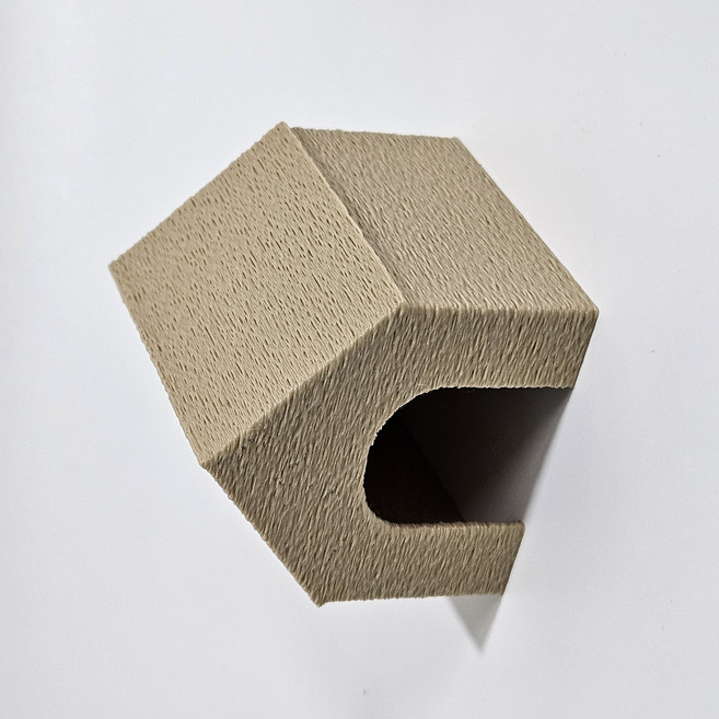 크레스티드 게코 3D프린터 하우스 은신처 L 준성체~성체용, 1개, 우드L