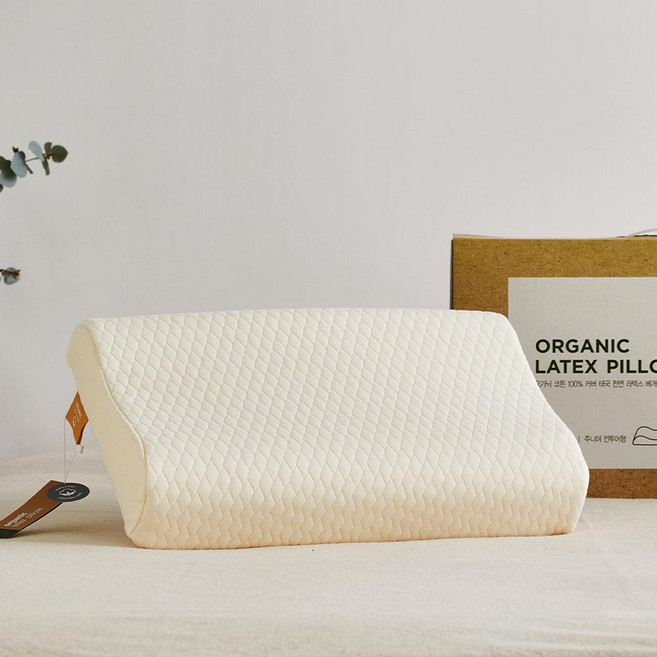 [모던하우스 인천점] 오가닉 주니어 태국 천연라텍스 베개 컨투어형 -[FP1424003], 1개, 상세설명참조