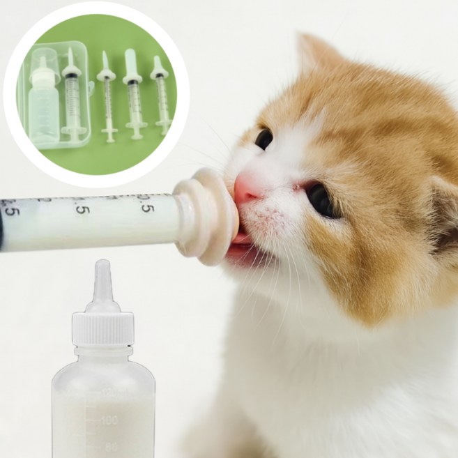 길벗 반려동물 젖병 새끼 고양이 강아지 수유 주사기, 1개, 화이트