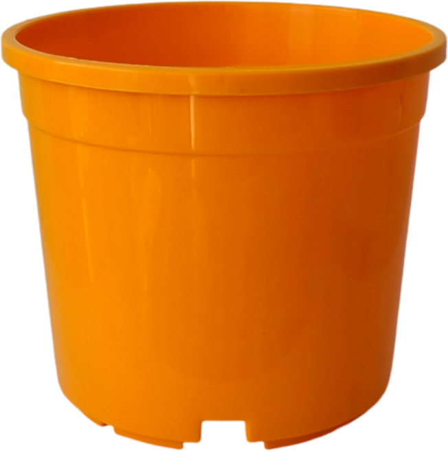 컬러포트 플라스틱 pp 화분 7색, 주황
