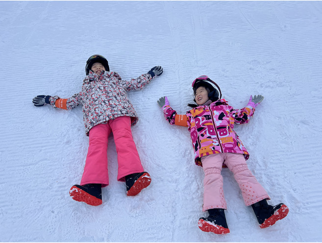 평창 휘닉스파크 샵에이스 어린이 스키강습 아카데미 스키강습 보드강습 키즈강습, 스키, 1:2, 4시간, 1개