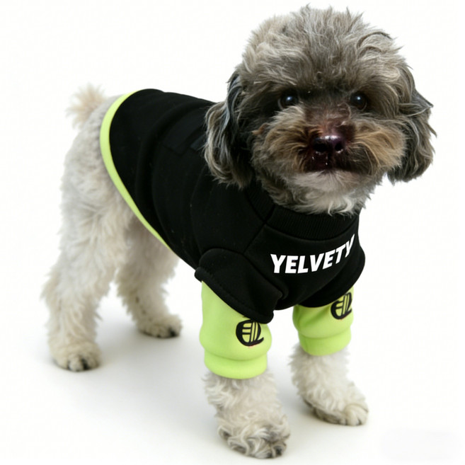 패션 애견의류 강아지 고양이 티셔츠 사계형, 1개, 블랙색