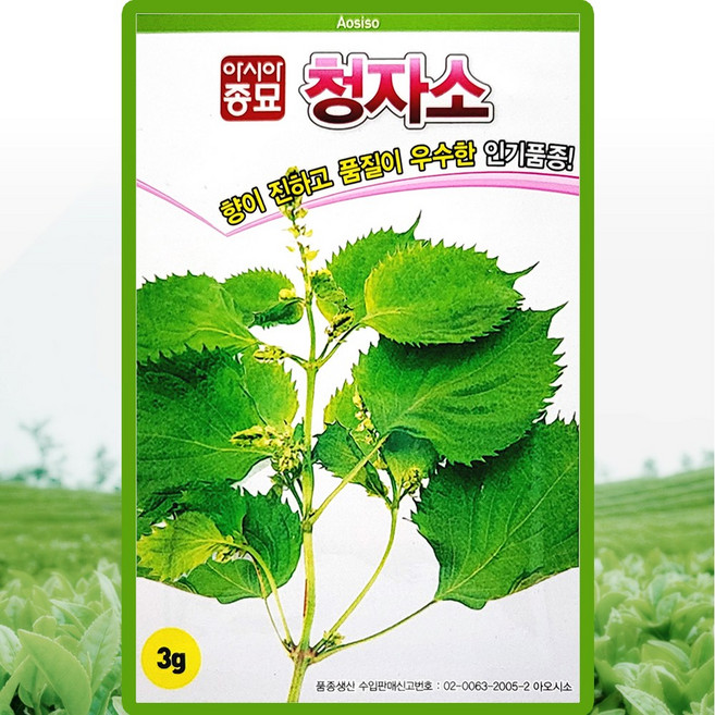 아시아종묘 청자소 씨앗 3g 연중재배 자소씨 종자, 1개