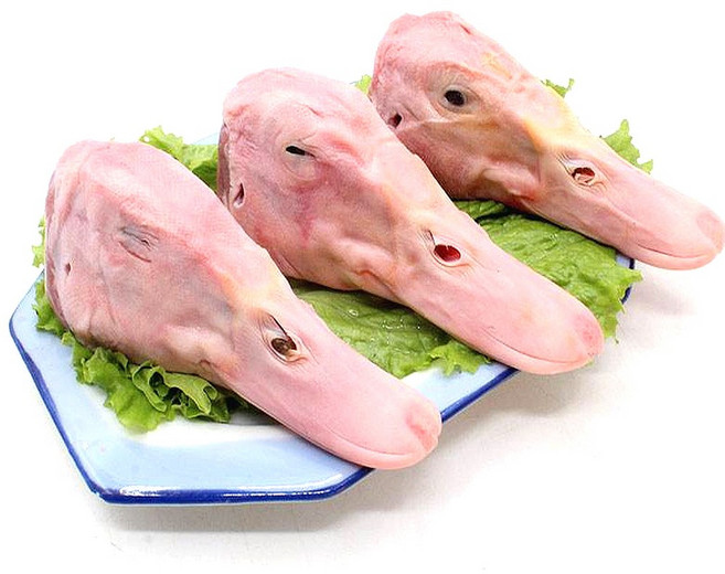 (배터짐) 손질 오리머리 2kg 오리날개 오리발족 오리간 오리창자 오리위 오리혀 오리간 오리똥집 (일요일&당일발송), 1개