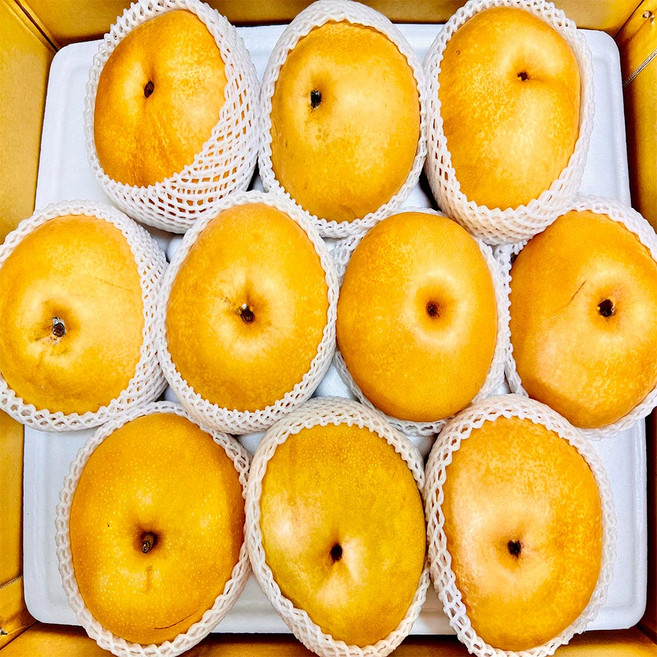 스마일프레쉬 맛있는 나주배 신고배 과일 배 선물세트, 1개, 나주배 5kg 가정용(6-14과)