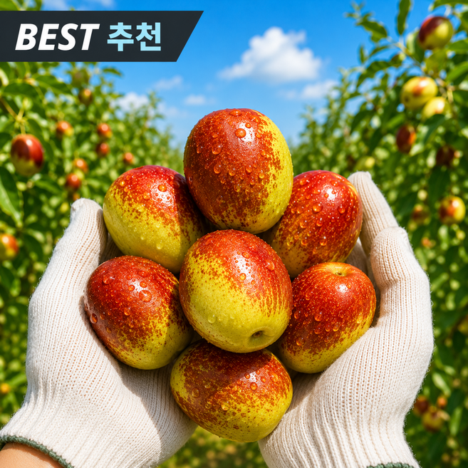 3위 - [재구매1위] 제수용 국산 햇 사과대추, 1박스, 500g (상)