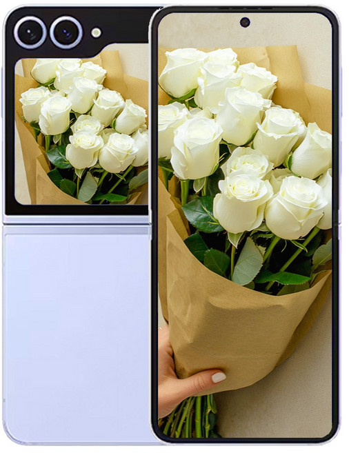 갤럭시 삼성전자 Z플립 6, 256GB, Z플립6 블루