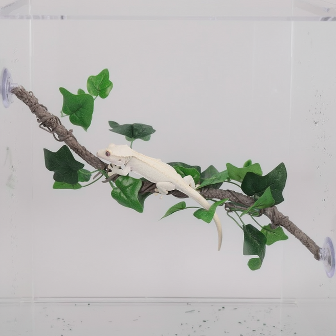 크레스티드게코 용품 정글바인 파충류 인조넝쿨, 1개, 기본