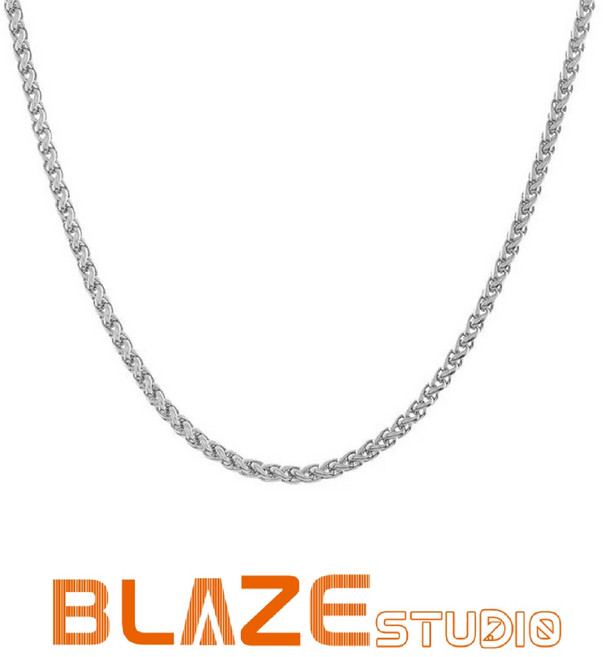 BLAZE 龍骨項鍊 鈦鋼項鍊 男生項鍊