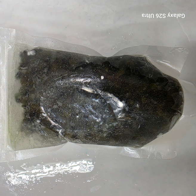 국내산 냉동 다슬기살 깐올갱이살 손질 다슬기 알맹이, 1개, 480g 냉동